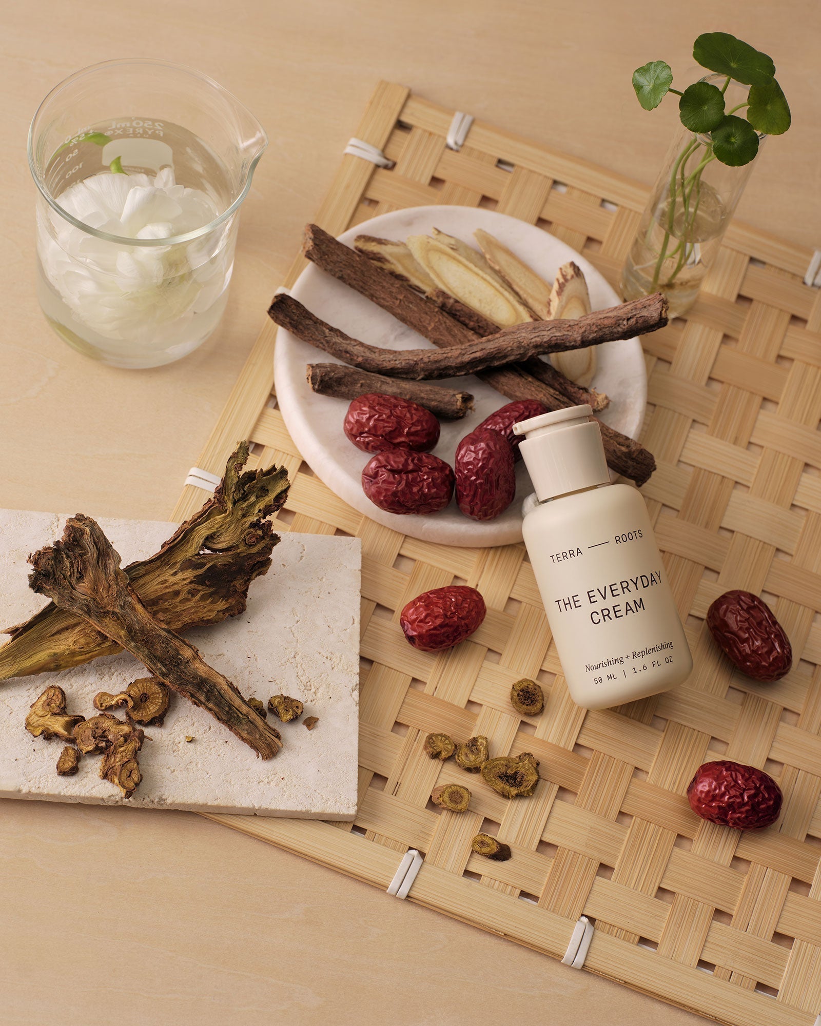 TCM herbs such as Jujube and Licore Root used in Terra Roots skincare for sensitive skin.