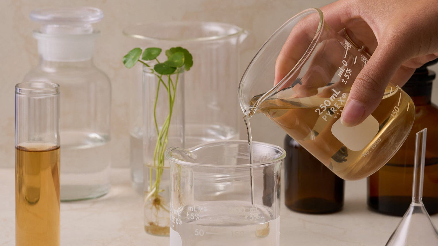 Lab scene of hand pouring liquid from a glass beaker into glass on a light background