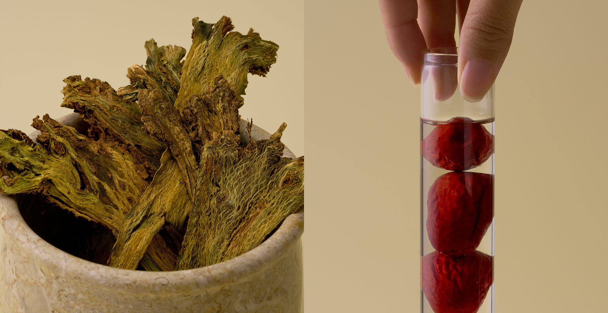 Dried herbs in a mortar and pestle next to a test tube with red berries on a beige background