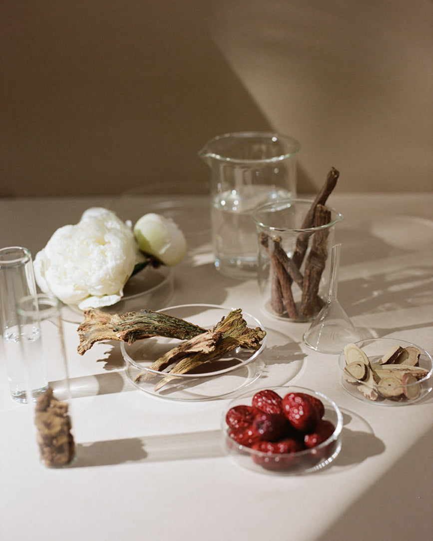 Herbal and bark samples in petri dishes and beakers