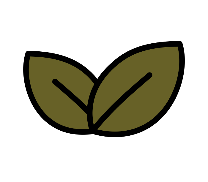 Illustration of two green leaves with a black outline on a white background